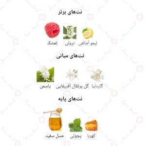 ادکلن زنانه انلی یو 930-5 لیدی میلیون 30 میل