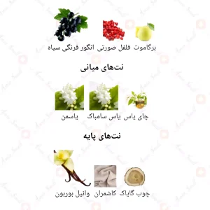  ادکلن زنانه انلی یو 872 ولنتینو 30 میل