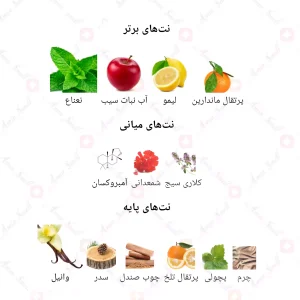 ادکلن مردانه انلی یو 812 ورساچه اروس 30 میل
