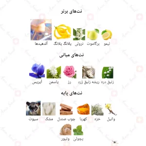 ادکلن زنانه انلی یو 845 چنس تندر 30 میل