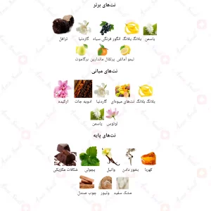  ادکلن زنانه انلی یو 802 بلک ارکید 30 میل