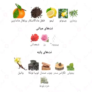 ادکلن مردانه انلی یو 878 اروس فلیم 30 میل 