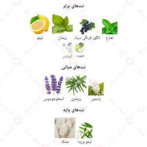 ادکلن یونیسکس مرسال ولنتاین له فالکون