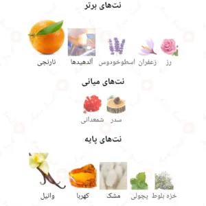 ادکلن مردانه امیر الرحاب 50 میل
