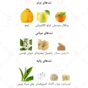 ادکلن مردانه ایمجین ژاکلین