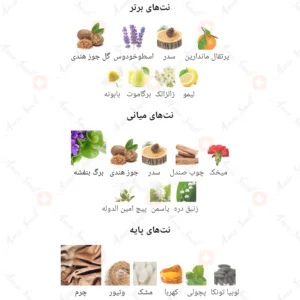 ادکلن مردانه فرایت روونا