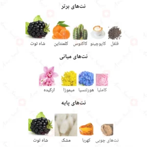 ادکلن زنانه وری سنس روونا 