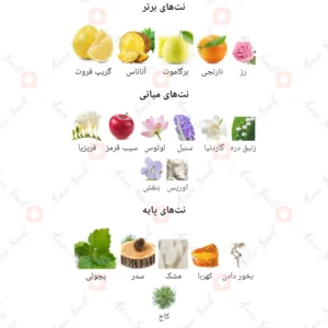 ادکلن زنانه شیسیدو زن روونا