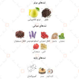 ادکلن مردانه ساواج روونا