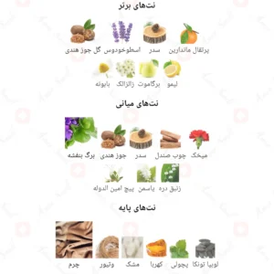 ادکلن مردانه فورنایت ژاکلین