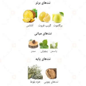 ادکلن مردانه نیشامن ژاکلین