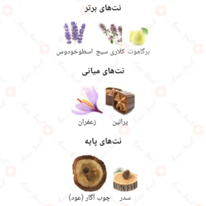 ادکلن مردانه هالتین ژاکلین