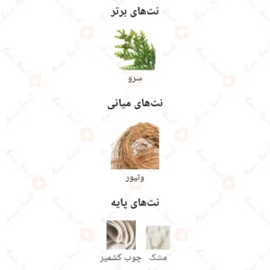 ادکلن مردانه انکاگ نویر مشکی روونا
