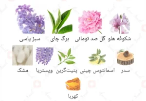 ادکلن زنانه اکلایر روونا