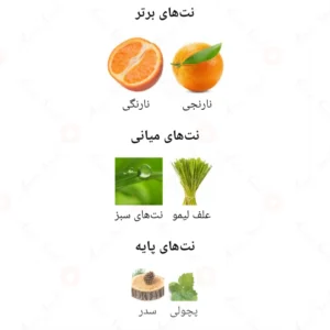 ادکلن مردانه بلک هورس الرحاب 50 میل