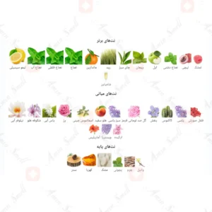  ادکلن زنانه پرنسس ماندانا جانوین