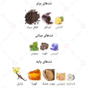 ادکلن مردانه حیان اینتنسیو روونا
