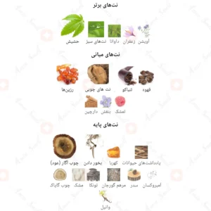 ادکلن مردانه بلک اوگونا روونا