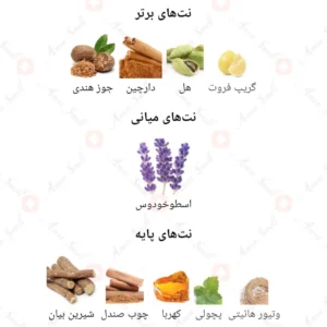  ادکلن مردانه سیوینگ اگزیست روونا