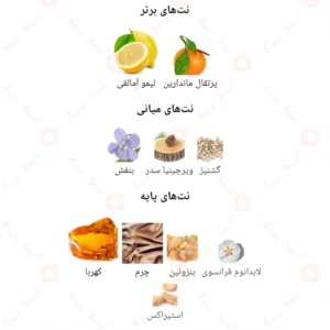 ادکلن مردانه سولو لوس والنتیس فرگرانس ورد
