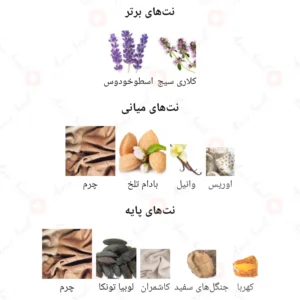 ادکلن مردانه فابولو کالکشن ژاکلین