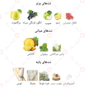  ادکلن مردانه انکریپت فراگرنس ورد