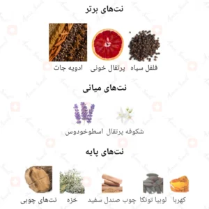 ادکلن یونیسکس نایت فرگرانس ورد