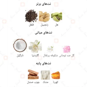 ادکلن زنانه ورستایل نویر مشکی روونا