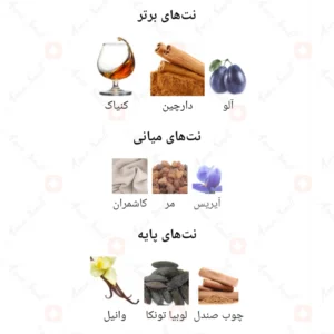  ادکلن یونیسکس کوکتل اینتنس فرگرانس ورد