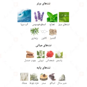 ادکلن مردانه کول بلو پور هوم جانوین