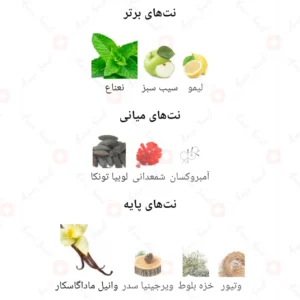 ادکلن مردانه دس تنتیشن فرگرانس ورد 
