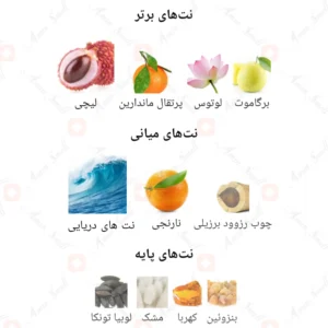 ادکلن مردانه دی کوستا بلو دیزایر فرگرانس ورد 