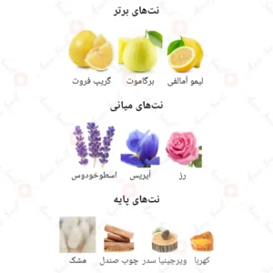 ادکلن مردانه رووناتی مچری روونا