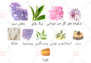 ادکلن زنانه آرپج لا ویولت فراگرنس ورد