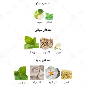 ادکلن مردانه راج بلک فراگرنس ورد