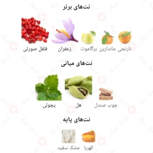 ادکلن مردانه اورا سیلور آرورا سنتس