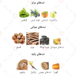ادکلن زنانه آروما 6 آرورا سنتس