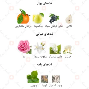 ادکلن زنانه دیسایدوس اسپرینگ آرورا سنتس