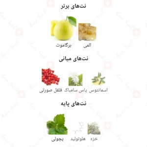ادکلن مردانه بلک آبسیدین آرورا سنتس