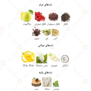 ادکلن زنانه هر مجستی آرورا سنتس
