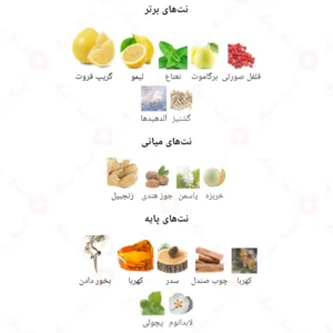 ادکلن مردانه بلوم د روونا 40 میل