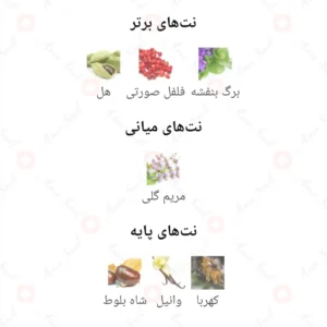 ادکلن مردانه اکسپلورر بلک آرورا سنتس