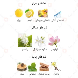 ادکلن زنانه اکسپلورر گلد آرورا سنتس