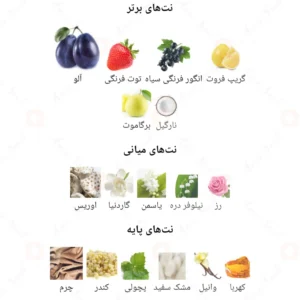 ادکلن یونیسکس این د نوور لند آرورا سنتس