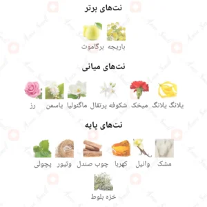 ادکلن زنانه انچنتد مون دی آرورا سنتس
