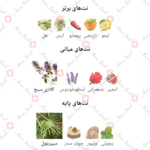 ادکلن مردانه شوالیر آرورا سنتس