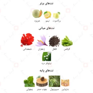 ادکلن یونیسکس جورنی آرورا سنتس