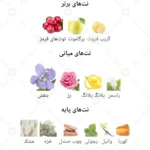 ادکلن مردانه رودعو آرورا سنتس