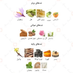 ادکلن یونیسکس بلک کول له فالکون