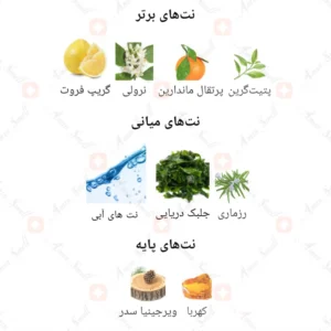 ادکلن مردانه اکواتیک روونا